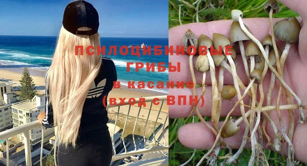 2c-b Кулебаки