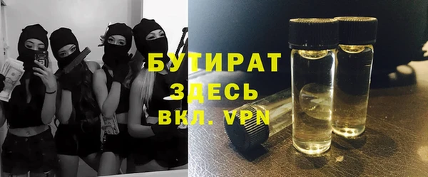 индика Краснослободск