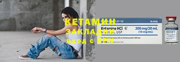 индика Краснослободск