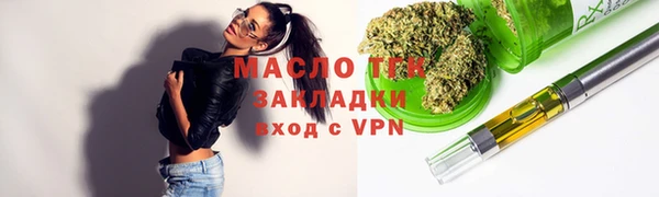 индика Краснослободск
