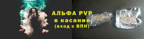 индика Краснослободск
