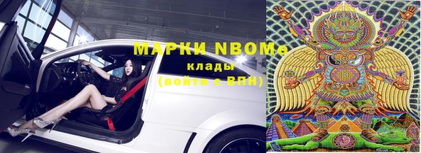 индика Краснослободск